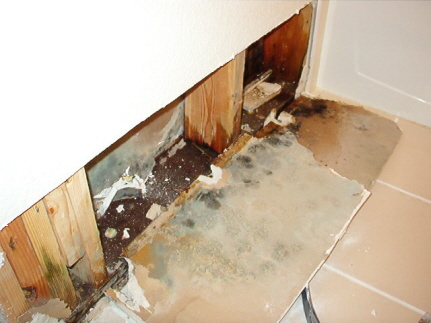 water-damage3